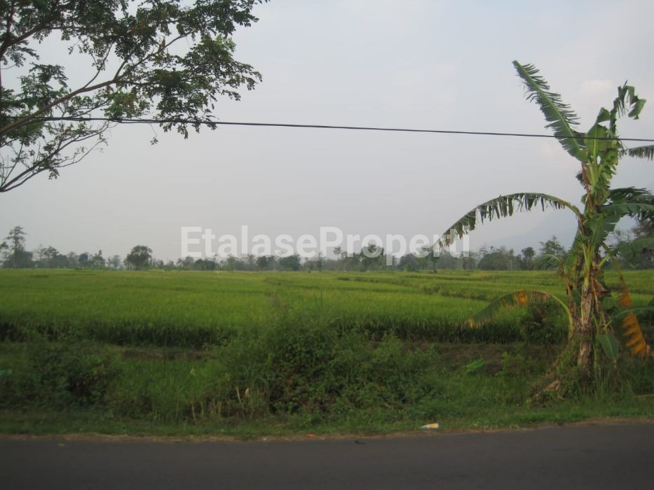 Foto properti Dijual Cepat! Tanah Di Purworejo Strategis Siap Bangun Di Mojokerto 2