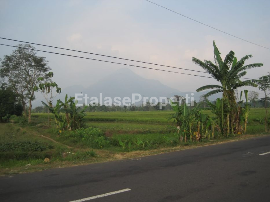 Foto properti Dijual Cepat! Tanah Di Purworejo Strategis Siap Bangun Di Mojokerto 1