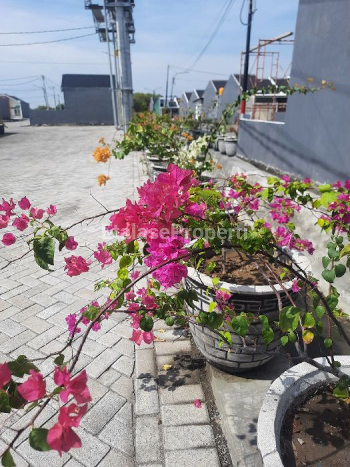 Foto properti Green Mansion Juanda Tipe Sunflower 3