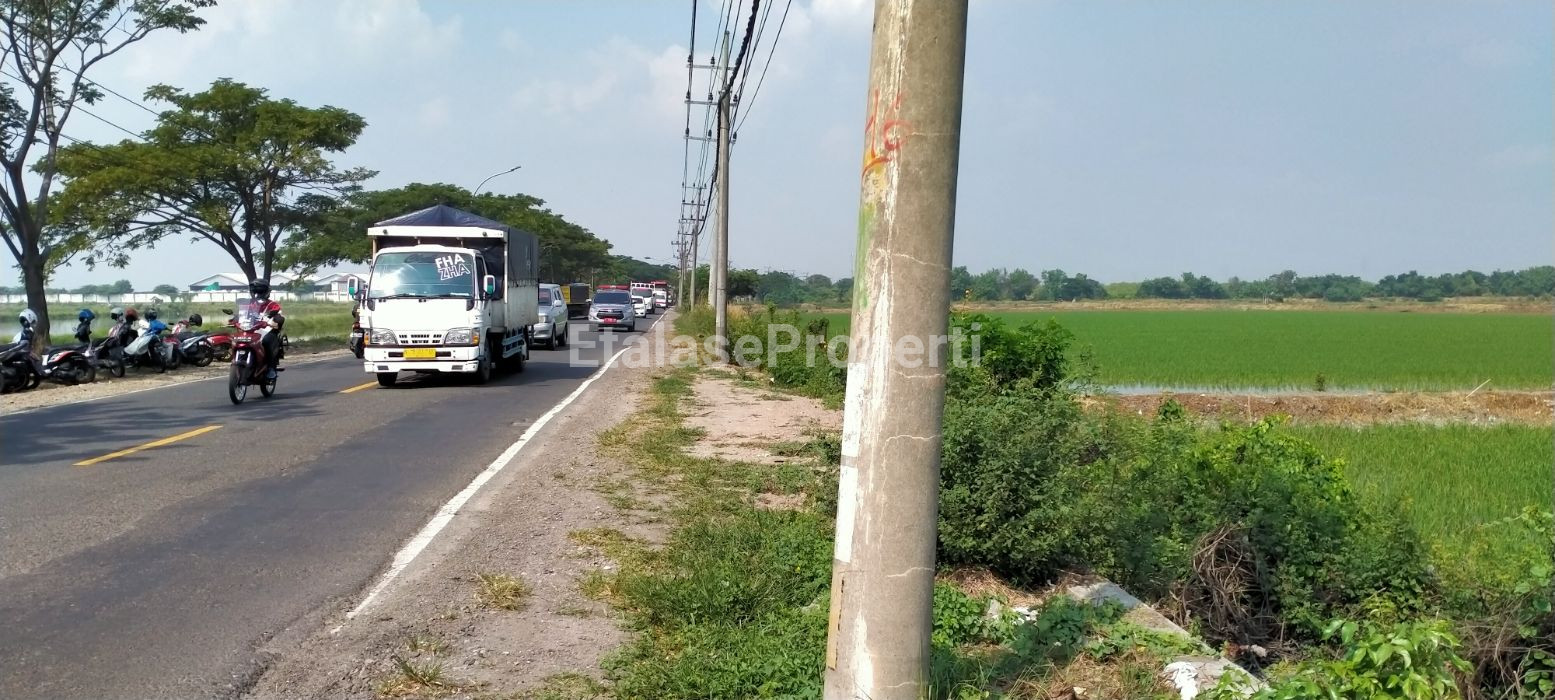 Foto properti Tanah Banjarsari Lokasi Apik + Strategis Utk Perindustrian Dan Pergudangan  Dkt Pintu Tol 4