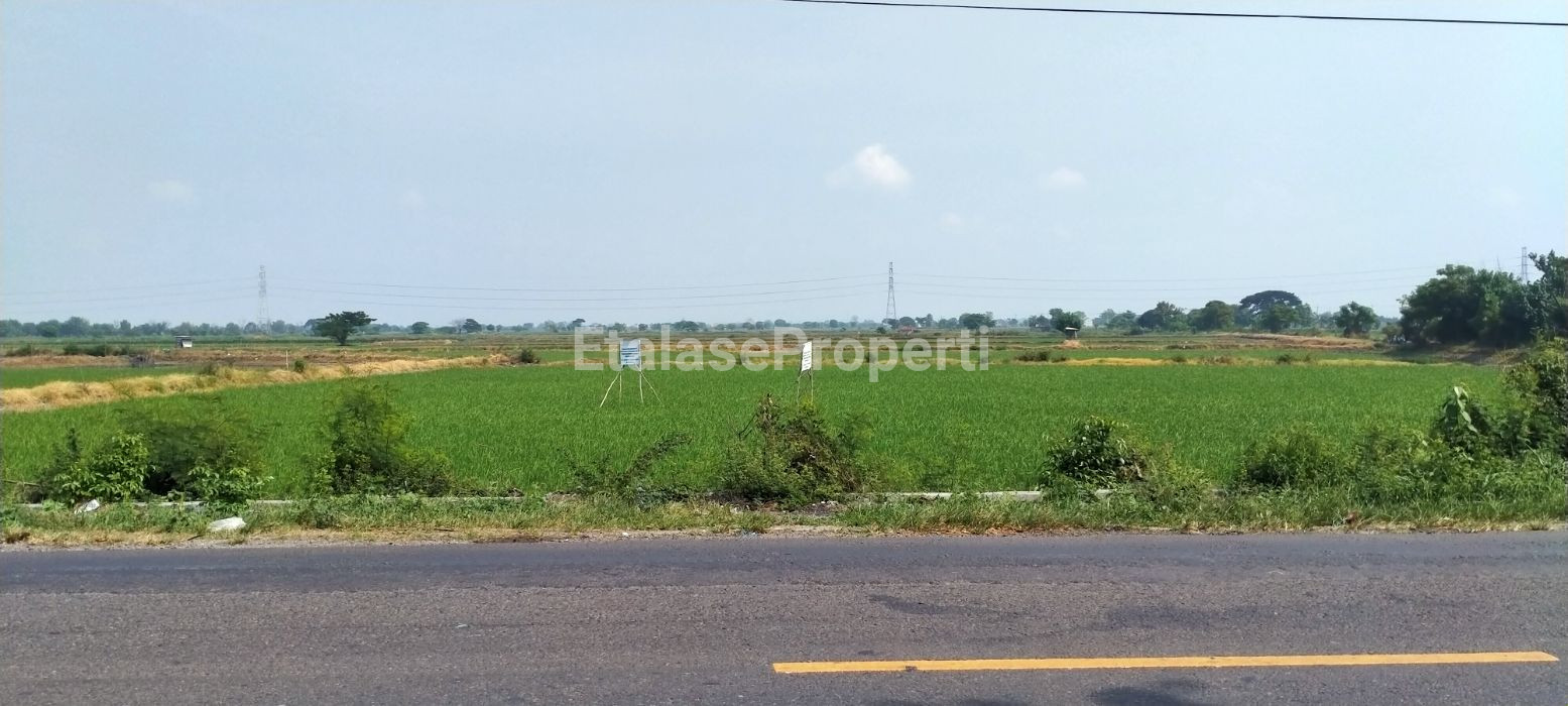 Foto properti Tanah Banjarsari Lokasi Apik + Strategis Utk Perindustrian Dan Pergudangan  Dkt Pintu Tol 1