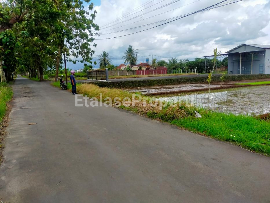 Foto properti JUAL LAHAN DI JL. SOEKARNO HATTA, GRECOL, PURBALINGGA, JAWA TENGAH. 2