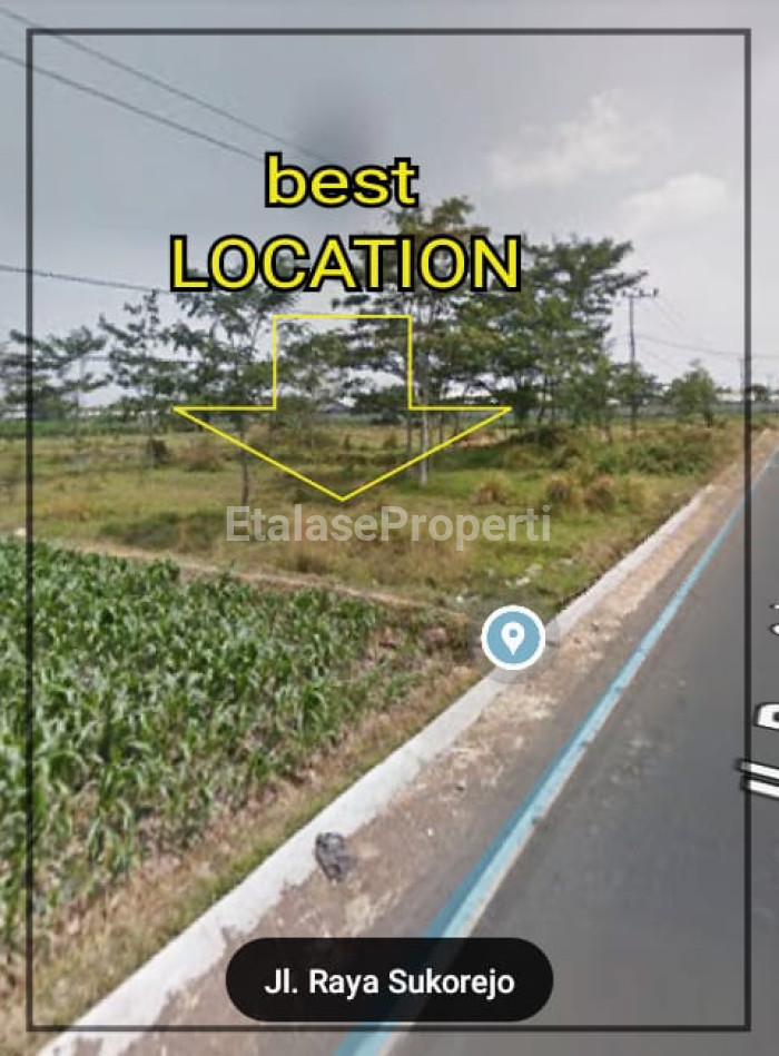 Foto properti Kavling Industri NOL Jalan Raya Bangil Sukorejo Pasuruan 1