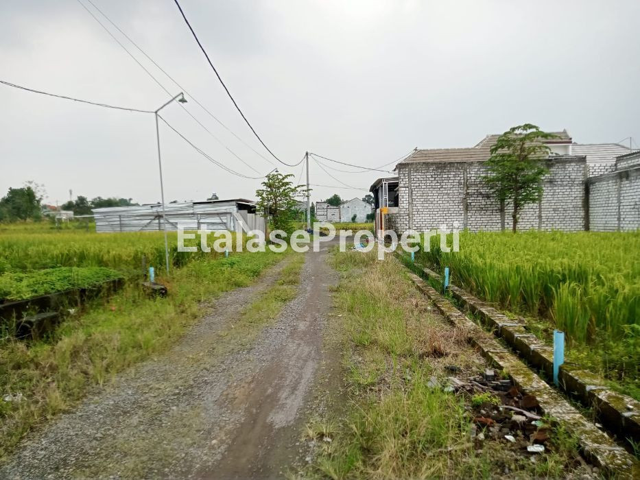 Foto properti Tanah Menganti Posisi Lebih Tinggi Dari Grand Harvest 4