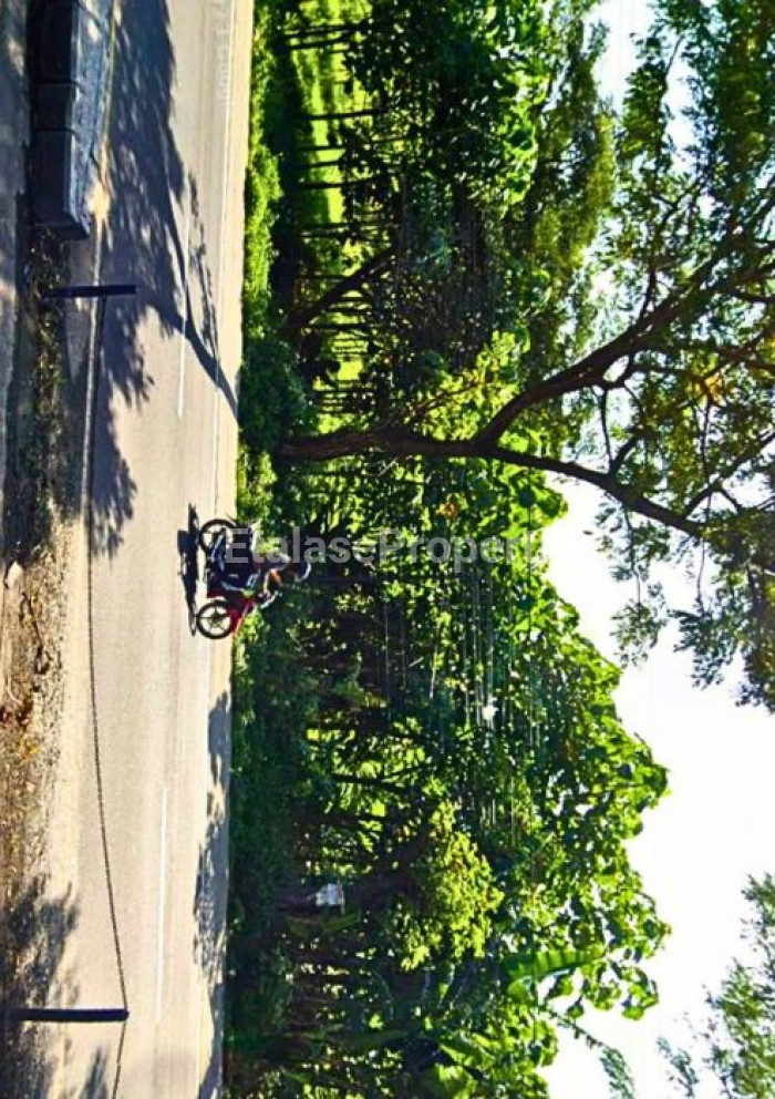 Foto properti DIJUAL TANAH DI JALAN RAYA PANDAAN (SEBELAH ADES) 2