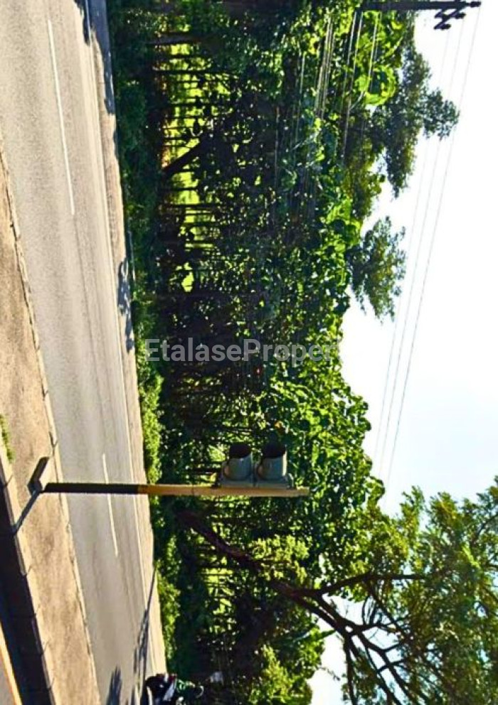Foto properti DIJUAL TANAH DI JALAN RAYA PANDAAN (SEBELAH ADES) 3