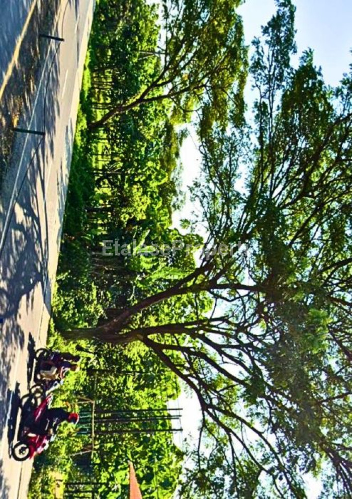 Foto properti DIJUAL TANAH DI JALAN RAYA PANDAAN (SEBELAH ADES) 4