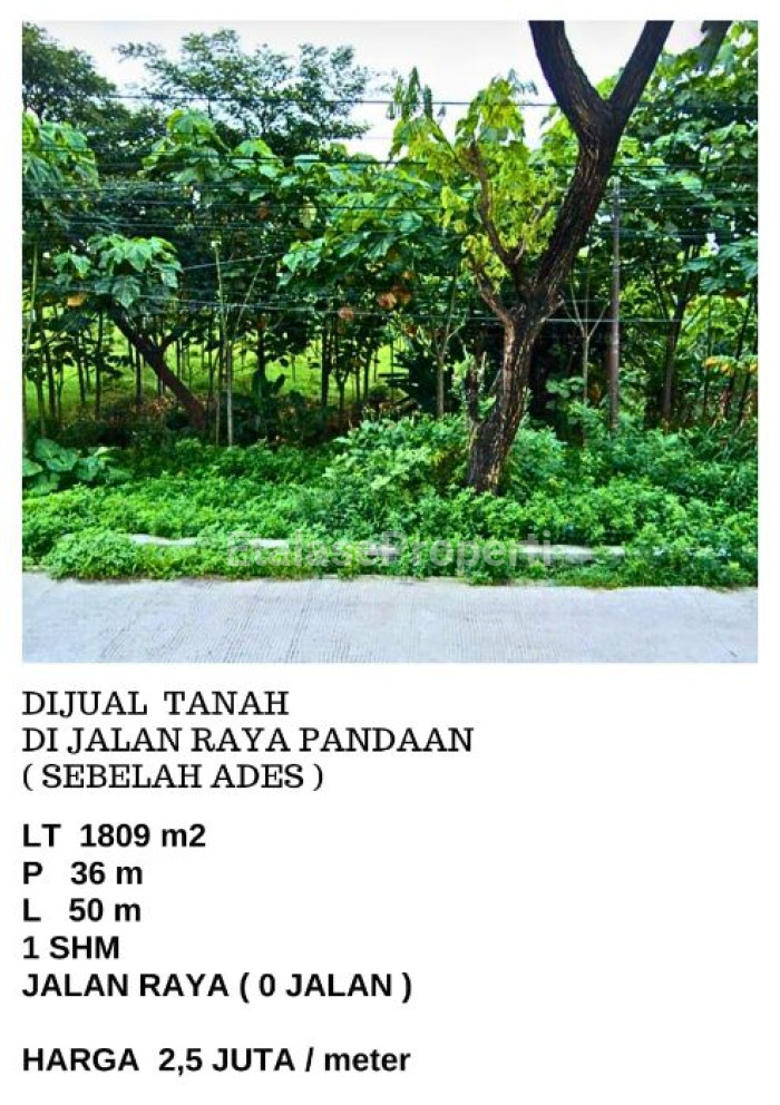 Foto properti DIJUAL TANAH DI JALAN RAYA PANDAAN (SEBELAH ADES) 1