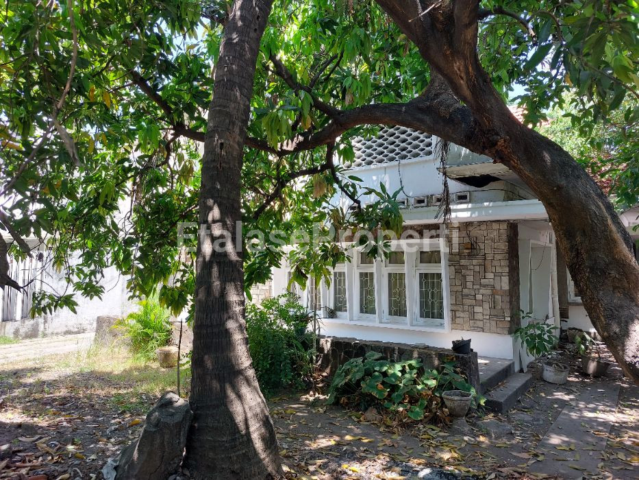 Foto properti DIJUAL RUMAH 0 JALAN RAYA DI JALAN DR SUTOMO SURABAYA 4