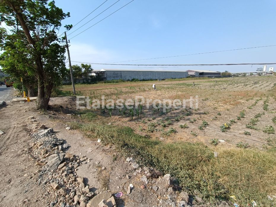 Foto properti Turun Harga Jadi 1,5jt/m2  Tanah 1,8ha Daerah Industri Lokasi Wringinanom Gresik 3