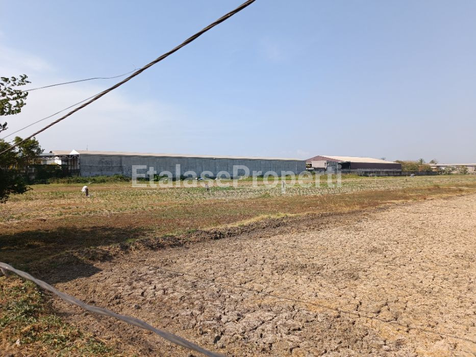 Foto properti Turun Harga Jadi 1,5jt/m2  Tanah 1,8ha Daerah Industri Lokasi Wringinanom Gresik 5