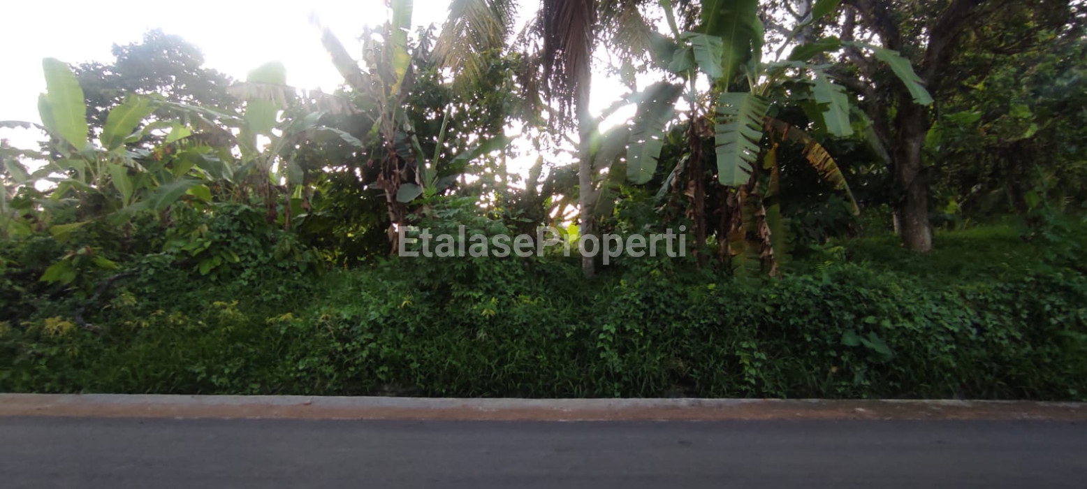 Foto properti Dijual Tanah Ds Berembeng Kec.Selemadeg Tabanan 5