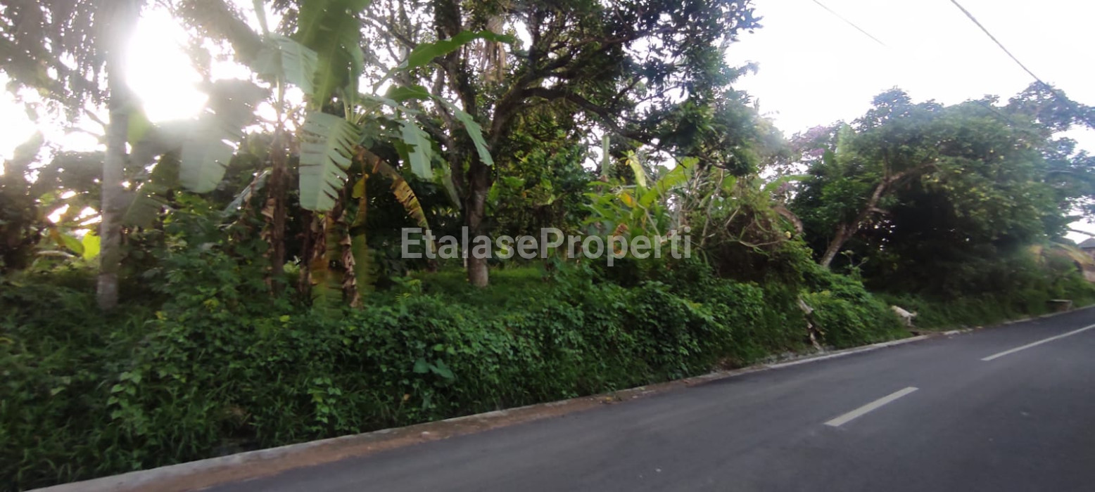 Foto properti Dijual Tanah Ds Berembeng Kec.Selemadeg Tabanan 6