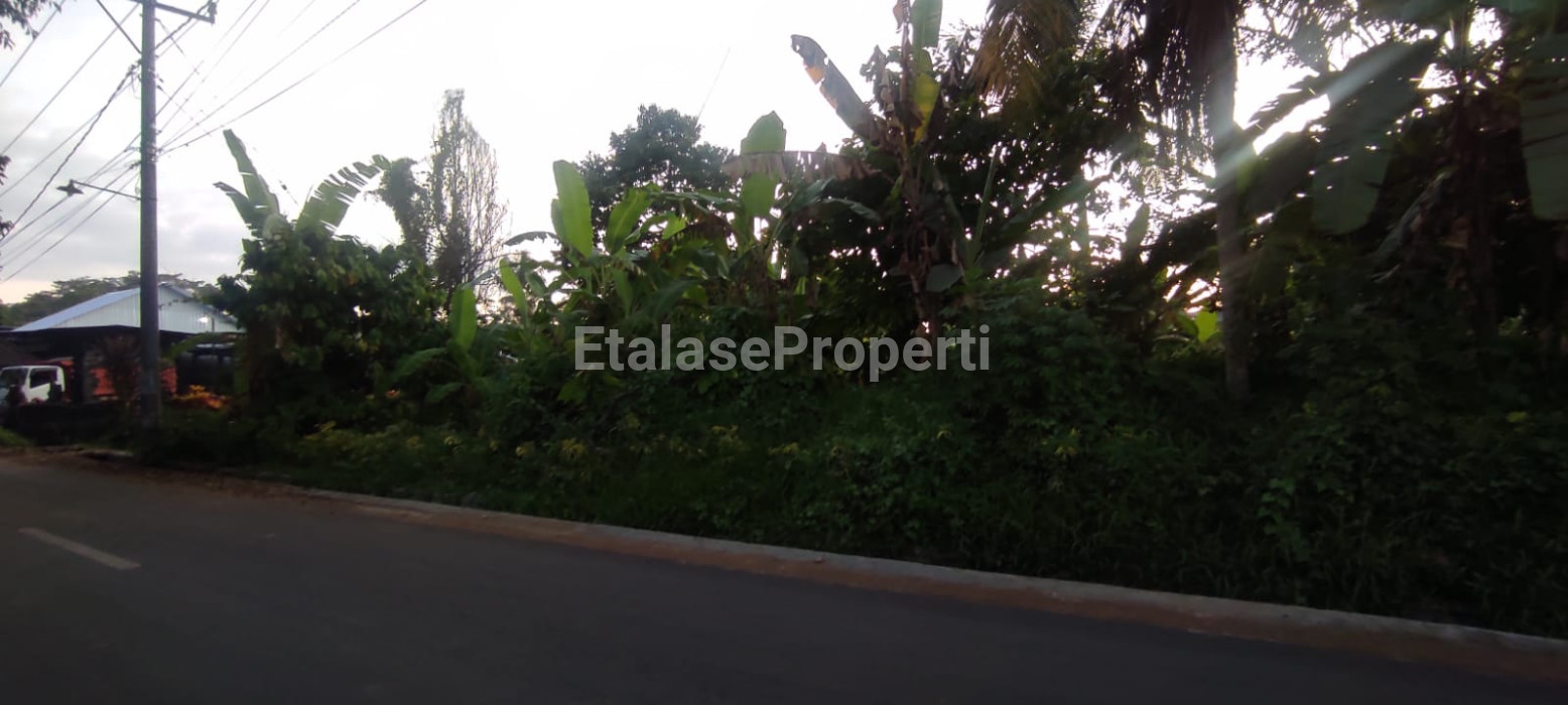 Foto properti Dijual Tanah Ds Berembeng Kec.Selemadeg Tabanan 8