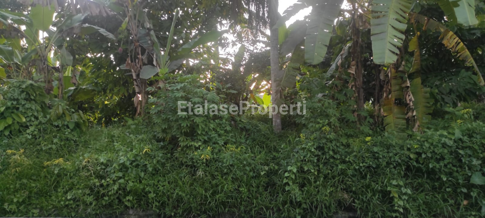 Foto properti Dijual Tanah Ds Berembeng Kec.Selemadeg Tabanan 9