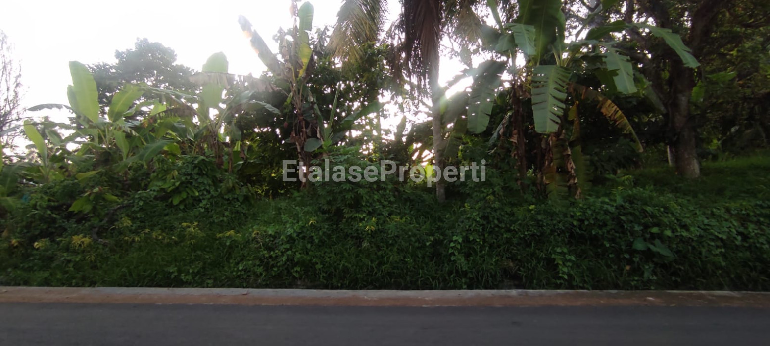 Foto properti Dijual Tanah Ds Berembeng Kec.Selemadeg Tabanan 10