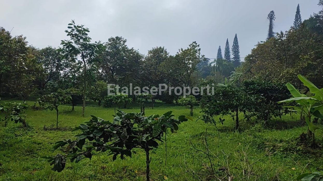 Foto properti Dijual Vila Di Trawas 3