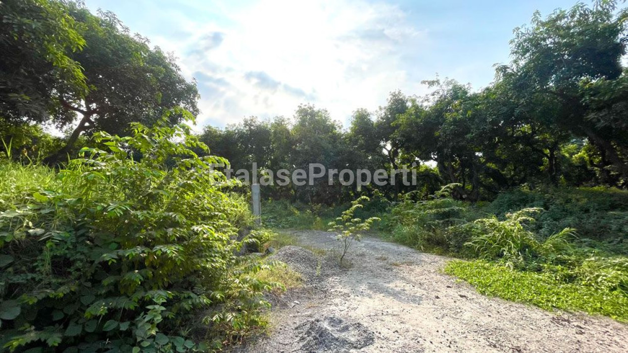 Foto properti *Dijual Tanah Ngoro (Mojokerto) Daerah Manduro* 2