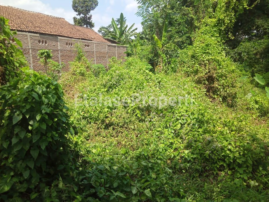 Foto properti Dijual Tanah Lokasi Nol Jalan Raya Cendrawasih Jember 4