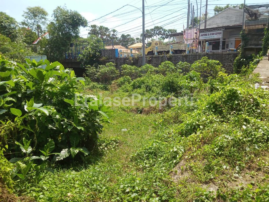 Foto properti Dijual Tanah Lokasi Nol Jalan Raya Cendrawasih Jember 5