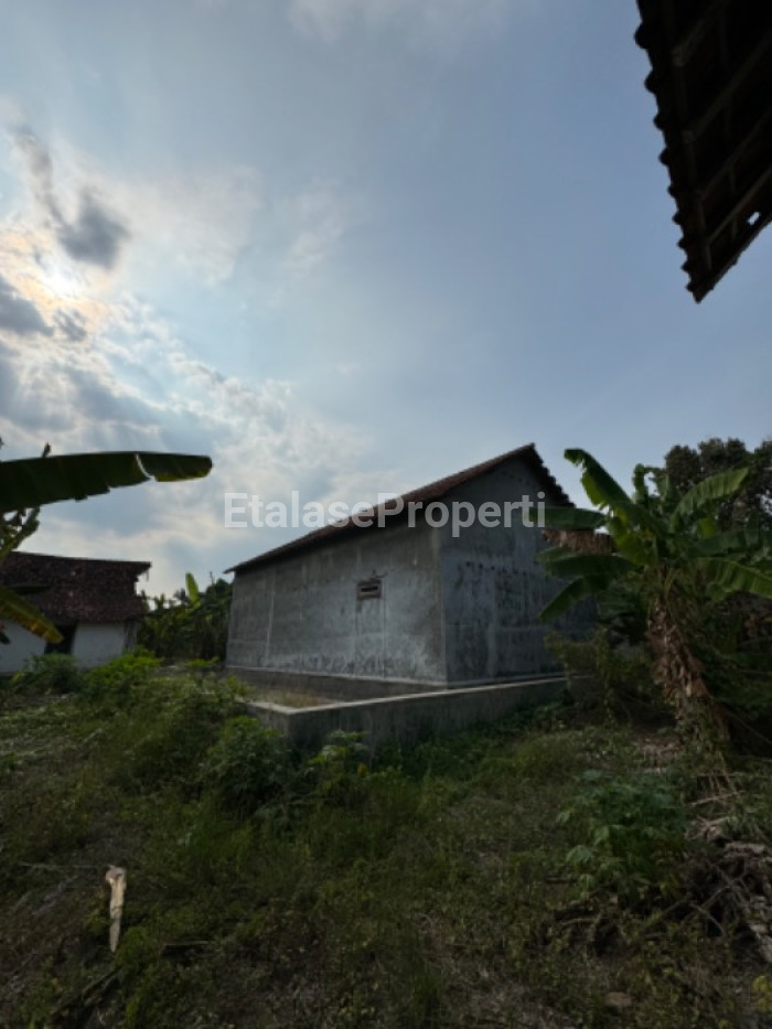 Foto properti Dijual Tanah & Rumah Burung Walet Di Sumber Ayu Banyuwangi 1
