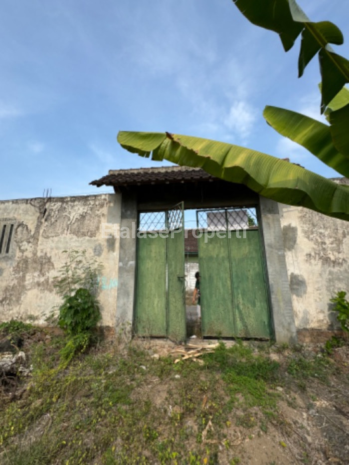 Foto properti Dijual Tanah & Rumah Burung Walet Di Sumber Ayu Banyuwangi 2