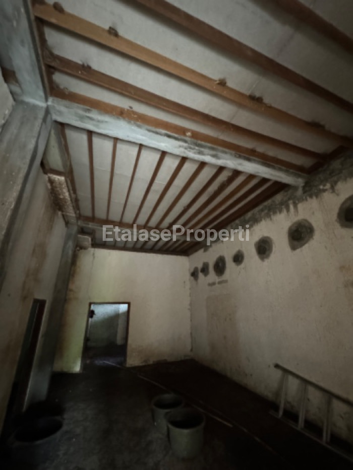 Foto properti Dijual Tanah & Rumah Burung Walet Di Sumber Ayu Banyuwangi 4