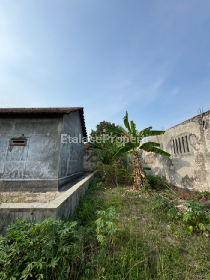 Foto properti Dijual Tanah & Rumah Burung Walet Di Sumber Ayu Banyuwangi 5