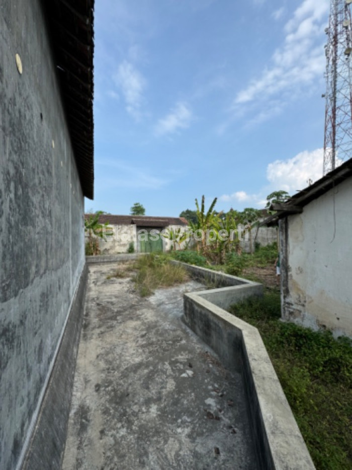 Foto properti Dijual Tanah & Rumah Burung Walet Di Sumber Ayu Banyuwangi 7