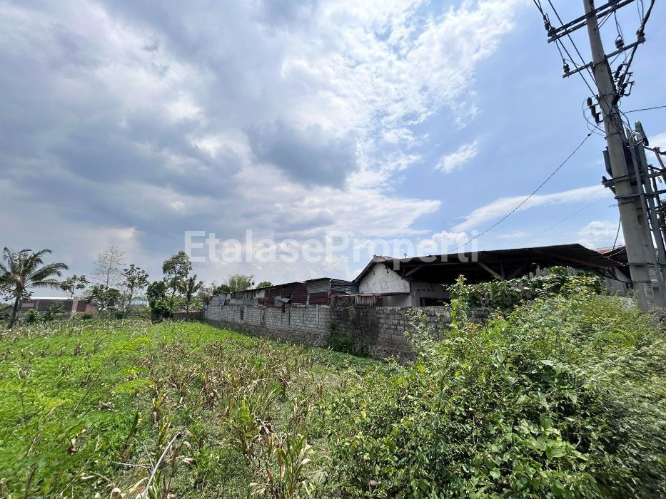 Foto properti Dijual Pabrik Pengolahan Kayu Randu Agung Singosari Malang 7