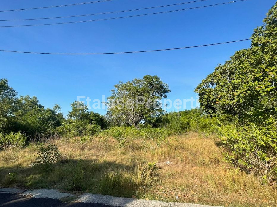 Foto properti Dijual Tanah Di Nusa Penida Bali 2
