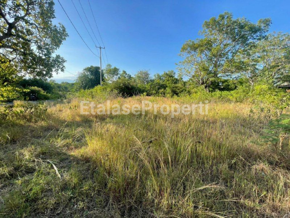 Foto properti Dijual Tanah Di Nusa Penida Bali 3