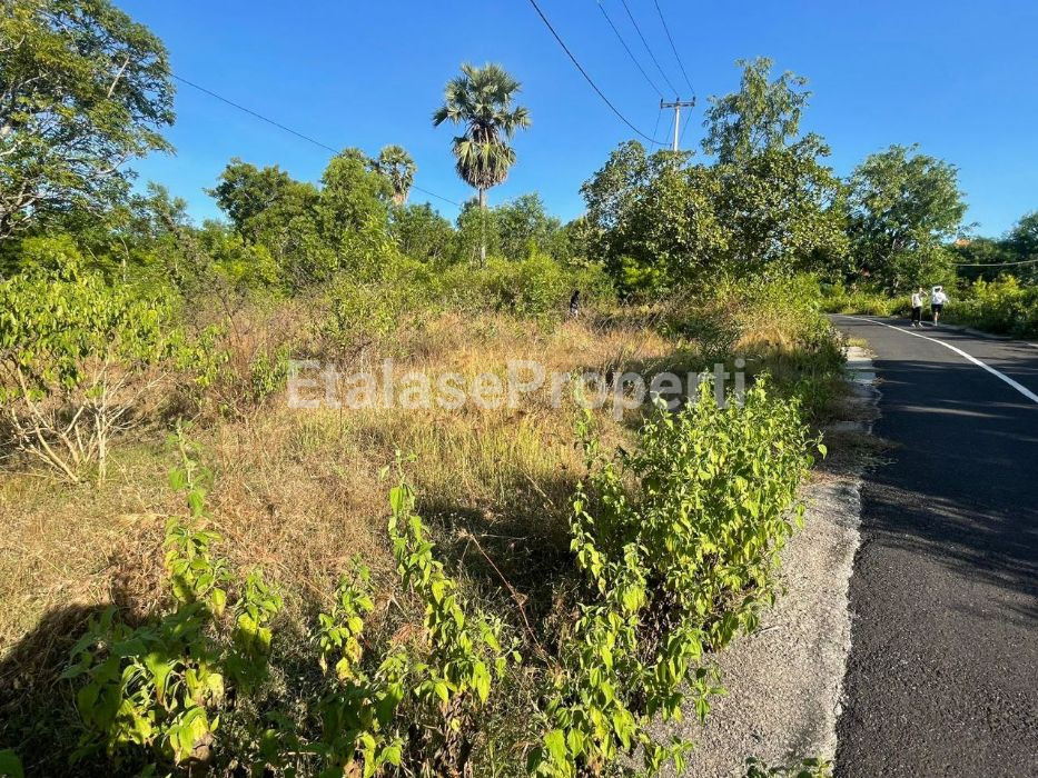 Foto properti Dijual Tanah Di Nusa Penida Bali 5