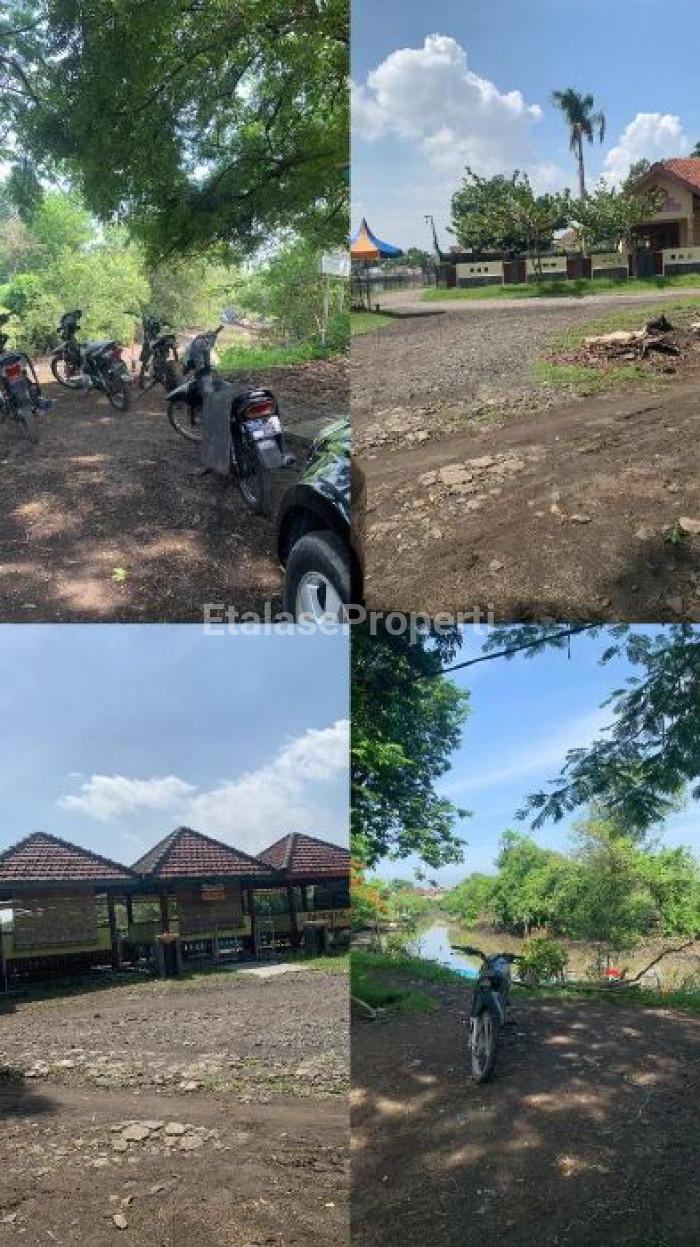 Foto properti Dijual Tambak Udang Vaname Dan Bandeng Di Pasuruan 2