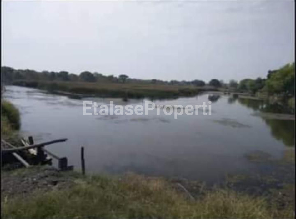 Foto properti Dijual Tambak Udang Vaname Dan Bandeng Di Pasuruan 3