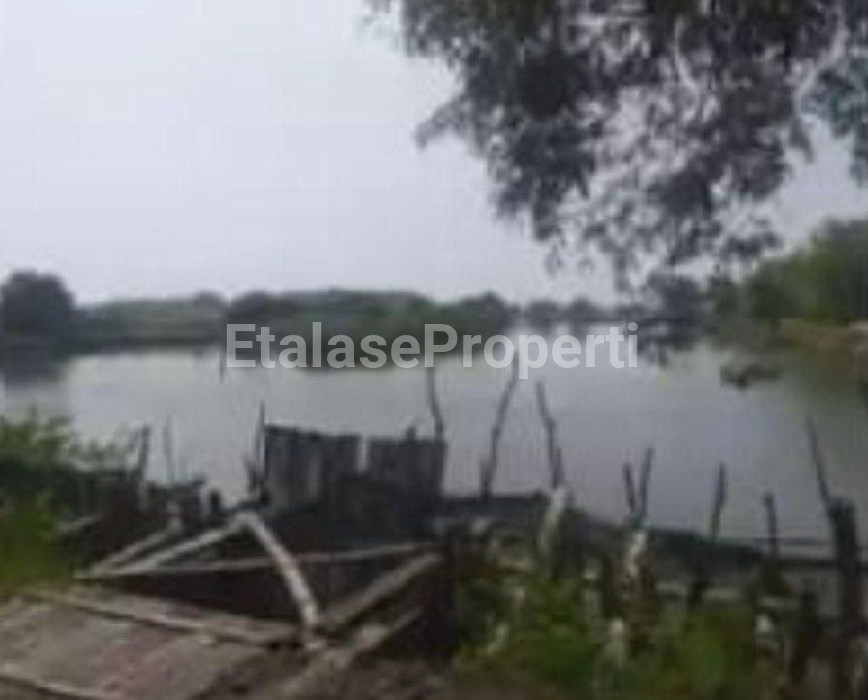 Foto properti Dijual Tambak Udang Vaname Dan Bandeng Di Pasuruan 4