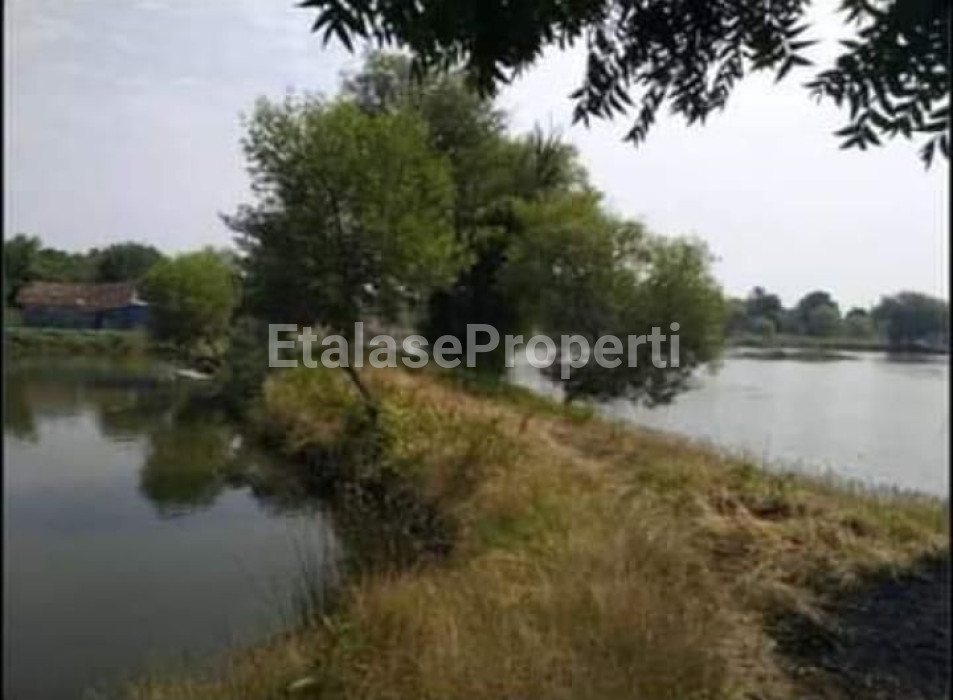 Foto properti Dijual Tambak Udang Vaname Dan Bandeng Di Pasuruan 5