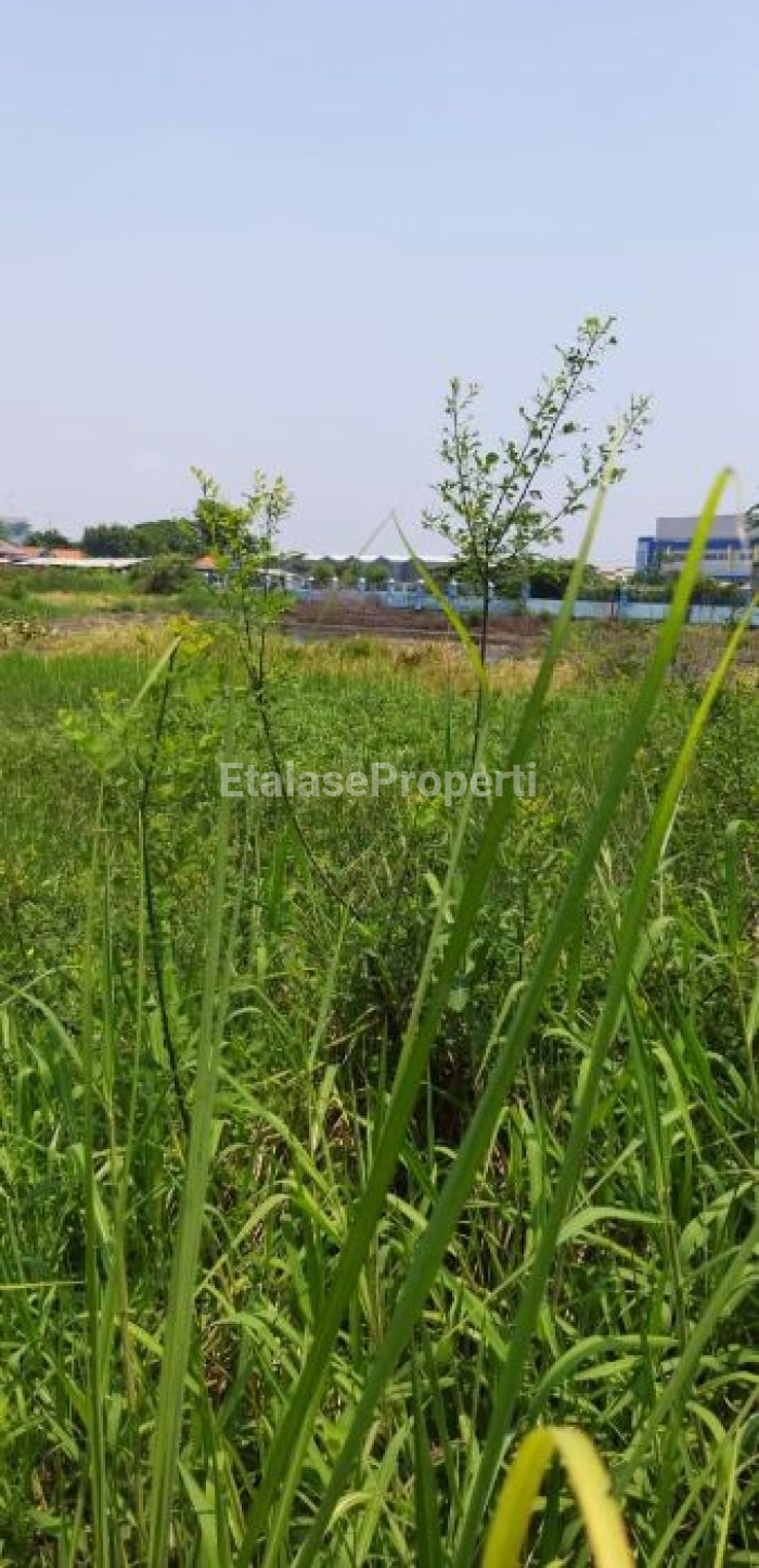 Foto properti Dijual Tanah Lahan Di Lingkar Timur Sidoarjo Nol Jalan 3