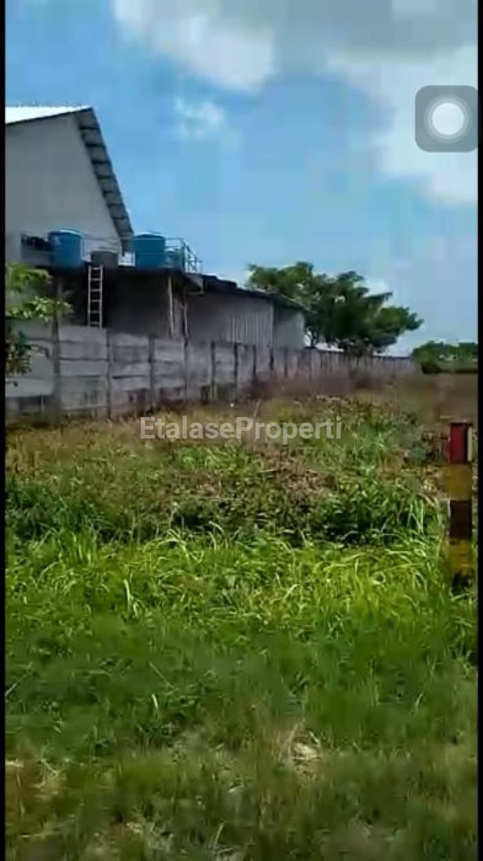Foto properti Dijual Cepat Tanah Di Kecamatan Widang, Tuban 2