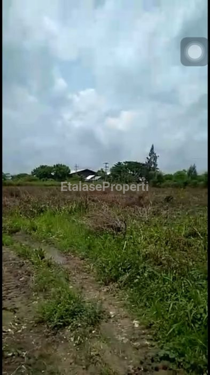 Foto properti Dijual Cepat Tanah Di Kecamatan Widang, Tuban 3