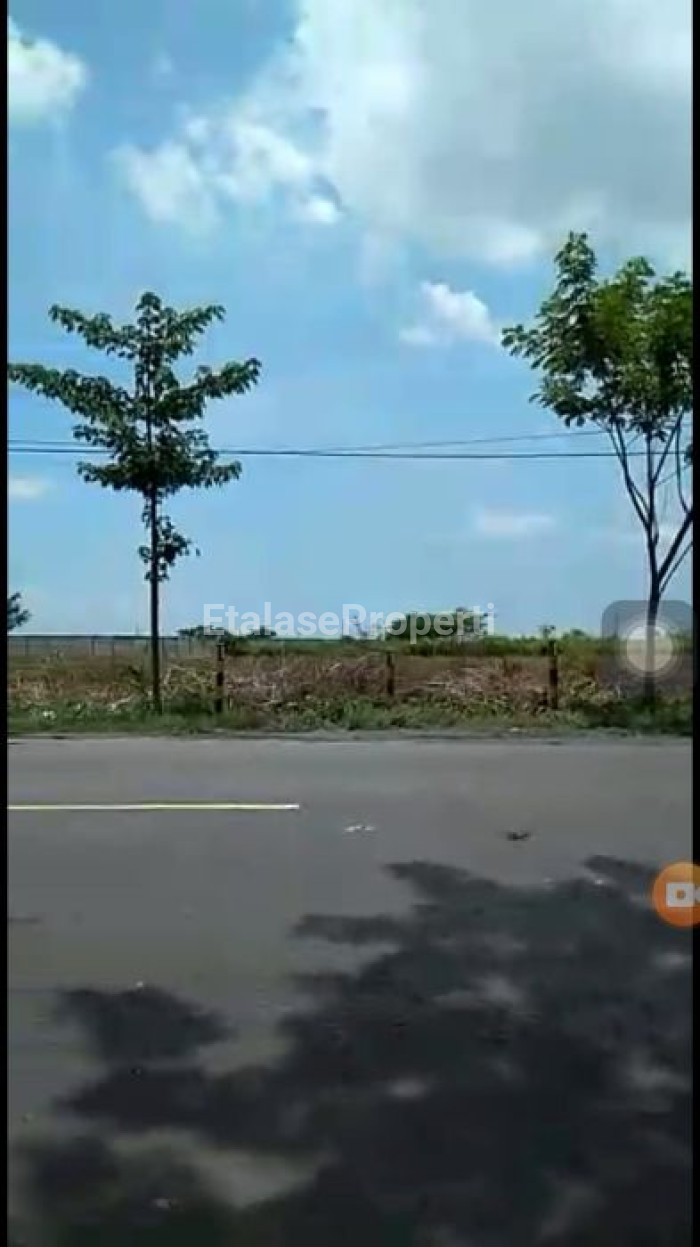 Foto properti Dijual Cepat Tanah Di Kecamatan Widang, Tuban 6