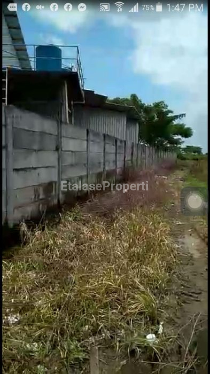 Foto properti Dijual Cepat Tanah Di Kecamatan Widang, Tuban 7