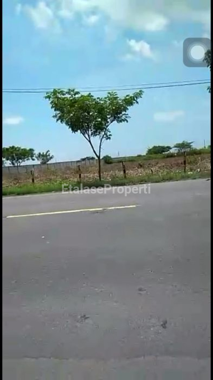 Foto properti Dijual Cepat Tanah Di Kecamatan Widang, Tuban 9