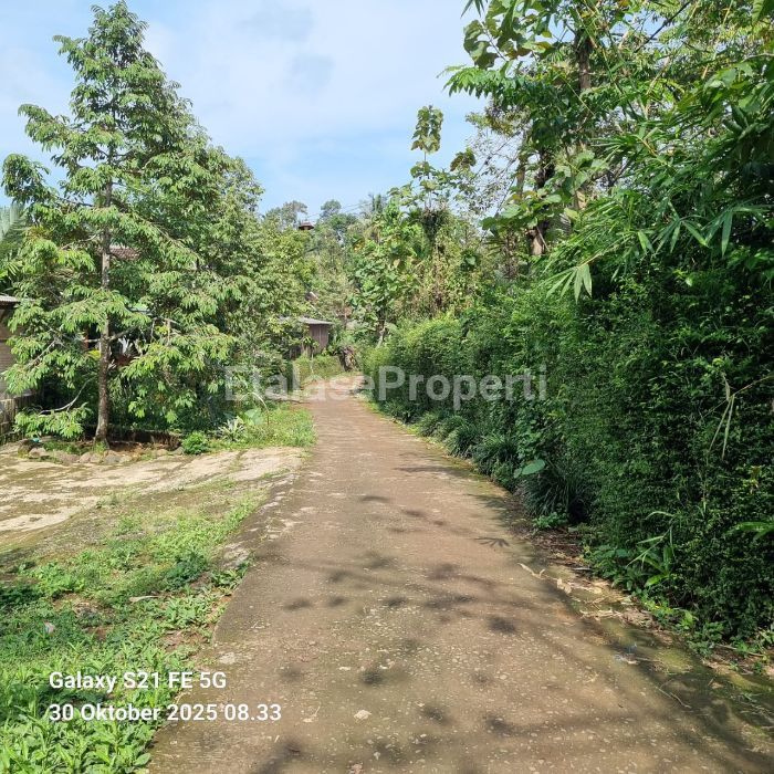 Foto properti Dijual : Tanah Kebun Di Wonosalam 2