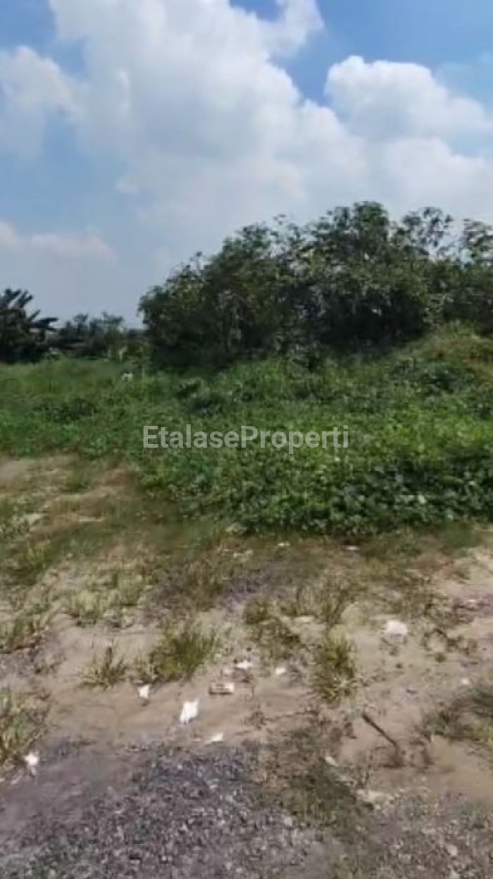 Foto properti DIJUAL CEPAT TANAH DI DRIYOREJO SEBRANG CITRALAND DRIYOREJO 2