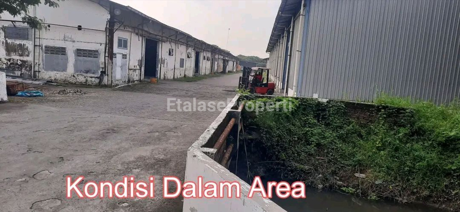 Foto properti JUAL GUDANG EX PABRIK SANGAT MURAH RAYA DRIYOREJO - GRESIK - JATIM HARGA JAUH DIBAWAH PASARAN 3