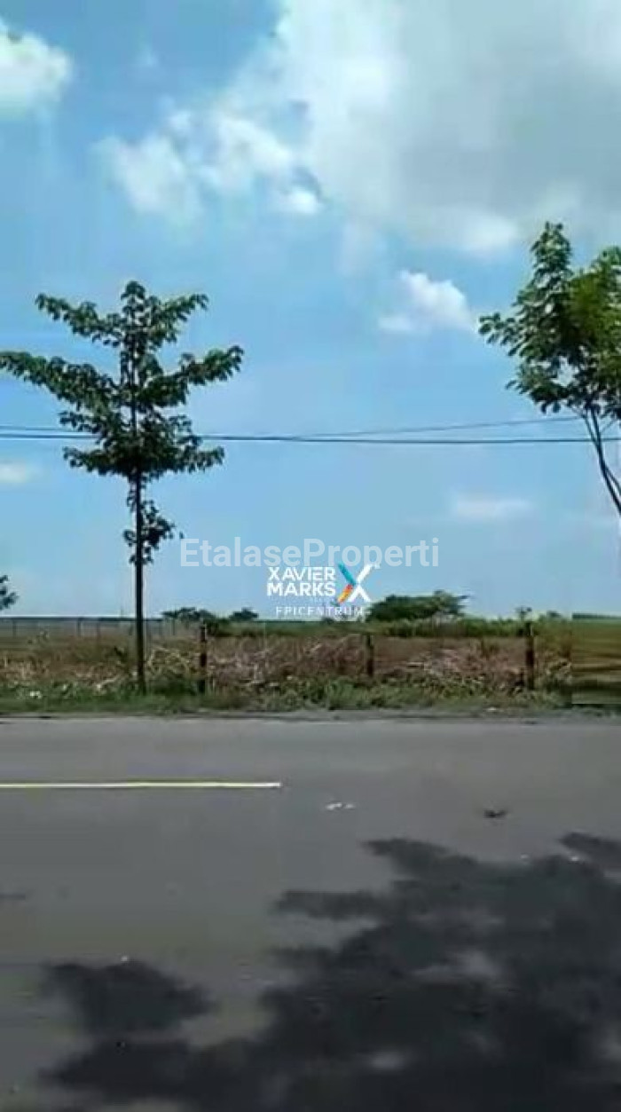 Foto properti Dijual Tanah Industri Komersial Area Di Widang Tuban 1