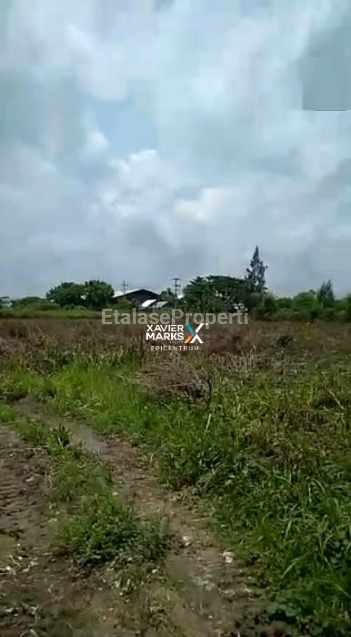 Foto properti Dijual Tanah Industri Komersial Area Di Widang Tuban 6