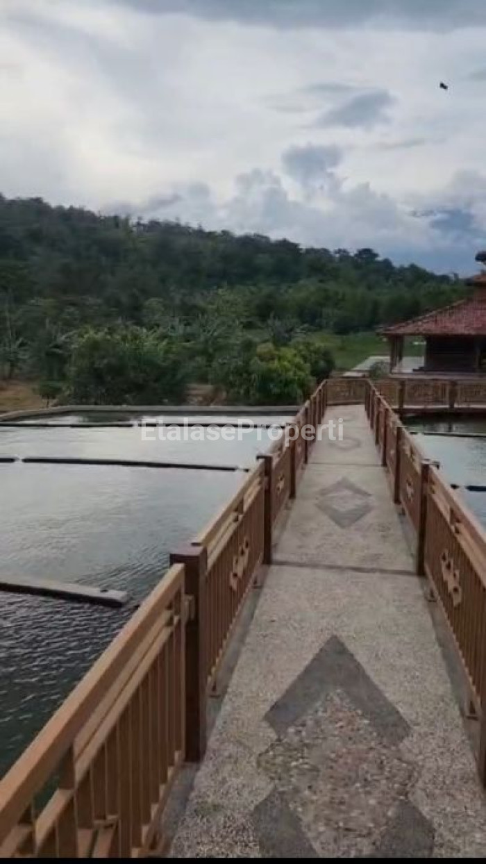 Foto properti JUAL LAHAN  UNTUK PERTERNAKAN & PERTANIAN  BERLOKASI DI PURWODADI, PASURUAN, JAWA TIMUR. 2