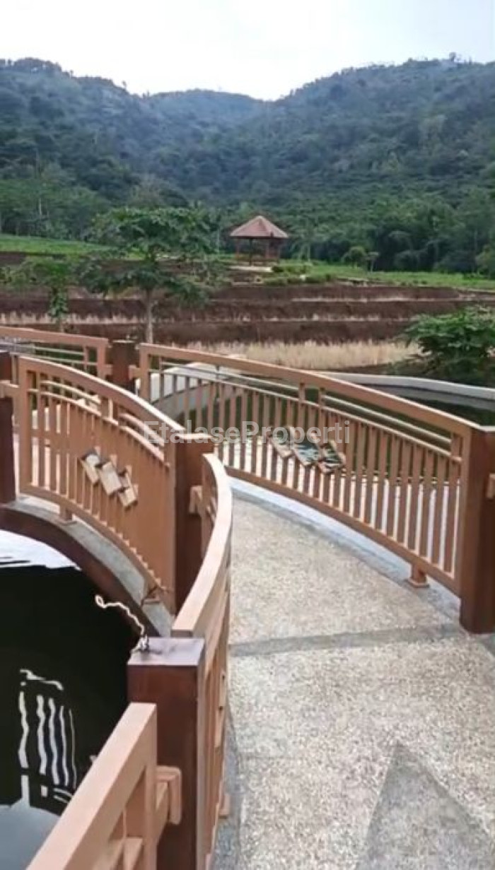 Foto properti JUAL LAHAN  UNTUK PERTERNAKAN & PERTANIAN  BERLOKASI DI PURWODADI, PASURUAN, JAWA TIMUR. 4